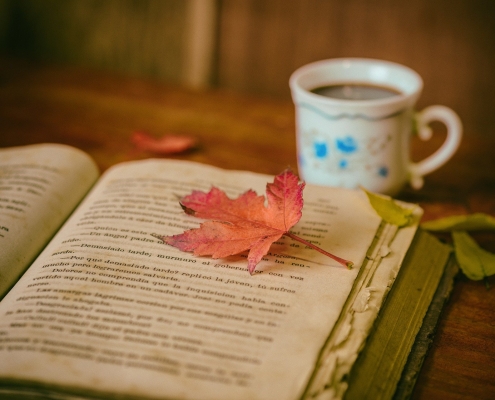 session lecture avec tisane et feuille d'automne